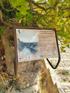 Nature - Cabrières-dʼAigues - 2