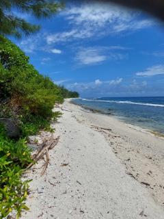 Fare Mama Fenua plage baleines Moorea Temae - Teavaro - 9