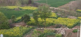 Jingxin Yayuan Homestay - 5