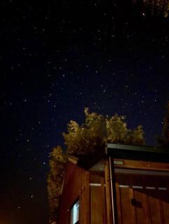 Star Gaze From Your Bed - Fairlie - 1