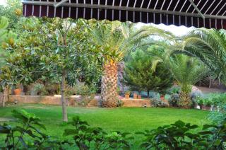Palm Court Suites - Ayvalık - 3