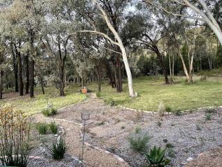 Green Tree Cottage rural serenity near town - Mudgee - 3