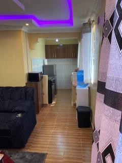 Tsavo Apartments Ogembo Deluxe one bedroom apartment - Ogembo - 7