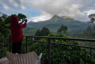 Dazzle Villa Resort - Kalpetta - 3