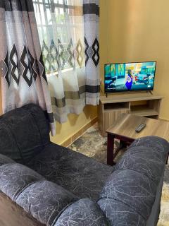 Tsavo Apartments Ogembo Single Room - 0