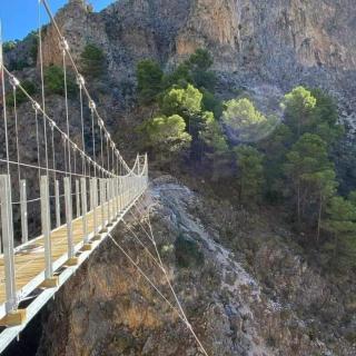 Casa la viña de la tireta - 4