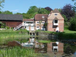 Salisbury Old Mill House - 9