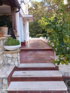 Oasi verde - Peschici - 0