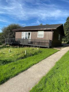 Cosy north Devon lodge within Hartland forest - 4