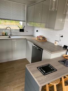 Cosy north Devon lodge within Hartland forest - Exeter - 5