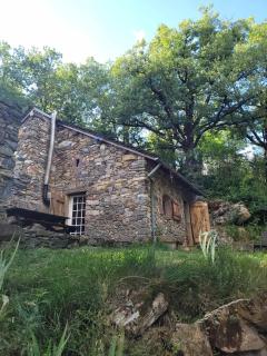Insolite bergerie dans la forêt - 4