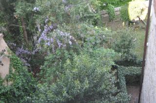Il Profumo del Lauro - Perugia - 6