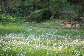 Gruböder Bauernhaus - 3