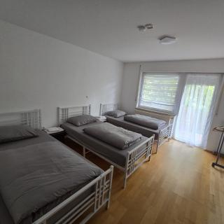 3 Zimmer EG Wohnung in Erbach - Erbach - 7