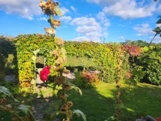 Holiday home with garden - 1