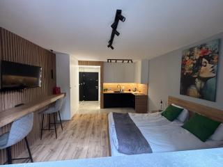 Apartament Grand Bulvar św Jakuba 14 - Toruń - 8