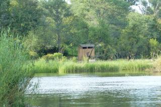 Nanatjo Bush Lodge Campsite - 9