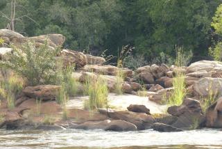 Nanatjo Bush Lodge Campsite - 5