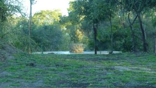 Nanatjo Bush Lodge Campsite - 4