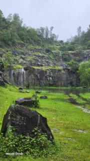 Woods Creek - Dandeli - 6