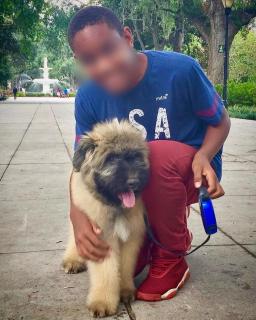 Modern Dog Friendly 1BD-1BA Apt in Federal Hill - Baltimore - 5