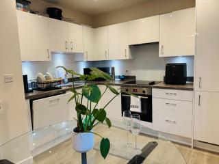 Spacious 2Bedroom Entire Luxury Flat in London - 3