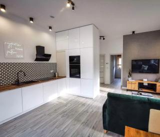 Apartment Roku 2024 - JELEŃ & NATURA - Kudowa-Zdrój - 4