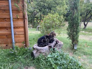 Lou Souleu - Sisteron - 1