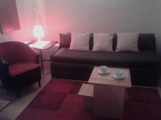 Apartments Skadarlija - Belgrad - 9