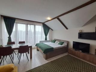 Large studio with view in Borovets Gardens - Borovets - 0