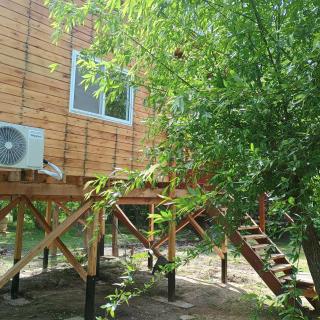 Mi Refugio Cabaña - Tigre - 8