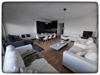 High class living in TAMPERE PENTHOUSE 84 square, free parking - Tampere - 0