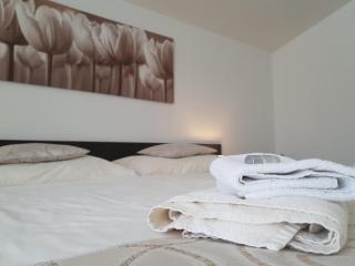 Rezidence Sunny Hill - Frymburk - 5