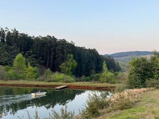 Lavender Trout Guest Farm - Nottingham Road - 9