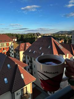 Q Apartment - Zlatibor - 3