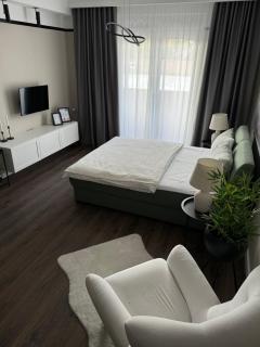 Premium Line Apartman 2 - Sombor - 6
