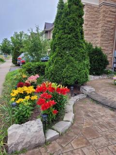 Cozy and comfy Studio Apartment - Colline De Richmond - 2