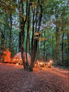 Le Dôme de Namur - Une nuit insolite dans les bois - Champion - 5