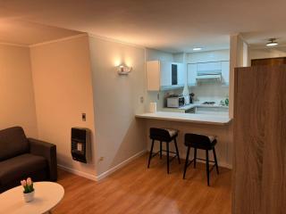 Apartamento Providencia - Santiago - 0
