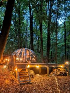 Le Dôme de Namur - Une nuit insolite dans les bois - Champion - 6