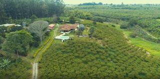 Finca La Manola - Montenegro - 0