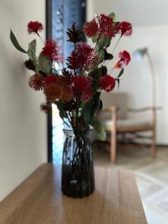 Luxe Vakantiehuis met privé Wellness - 1