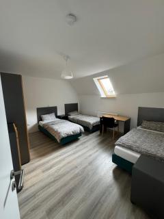 5 Wohnungen in Springe - Springe - 7
