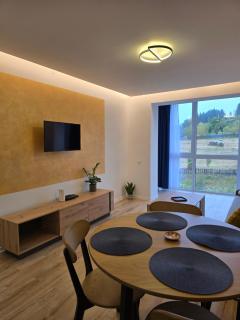 SaGa Apartament - Topliţa - 5