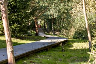 Gintarinė KOPA Kunigiškiai - Palanga - 8