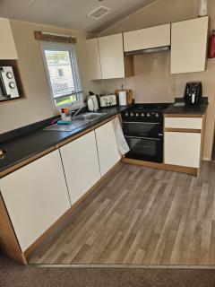 Trecco bay birch - Newton - 2