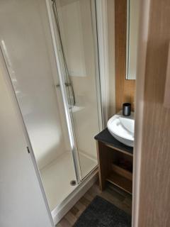 Trecco bay birch - Newton - 6