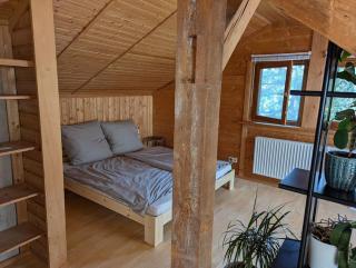 Eigene Etage im charmanten Holzhaus - Miesbach - 5