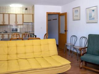Apartamento en Zona Baja con Terraza Garaje Opcional y Descuentos en Acceso a Pistas y Material de Esquí - Sierra Nevada - 5