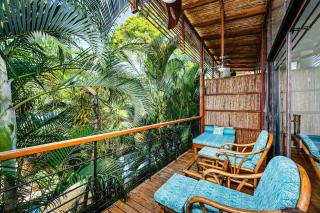 Lush Jungle Paradise - Walk to Beach - Potrero - 7
